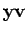 $ {\bf yv}$