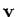 $ {\bf v}$