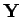 $ {\bf Y}$