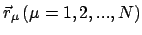 $ \vec{r}_{\mu}  (\mu = 1,2, ... ,N)$